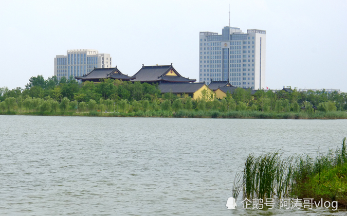 建湖人口 2019_建湖天铂二期分布图