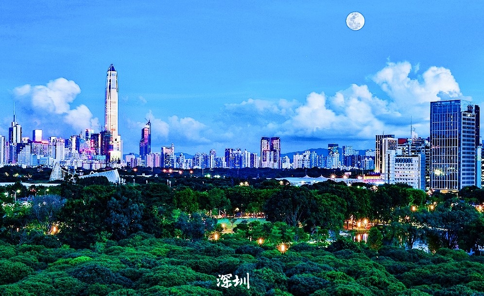 上海人口越来越多_上海夜景(2)