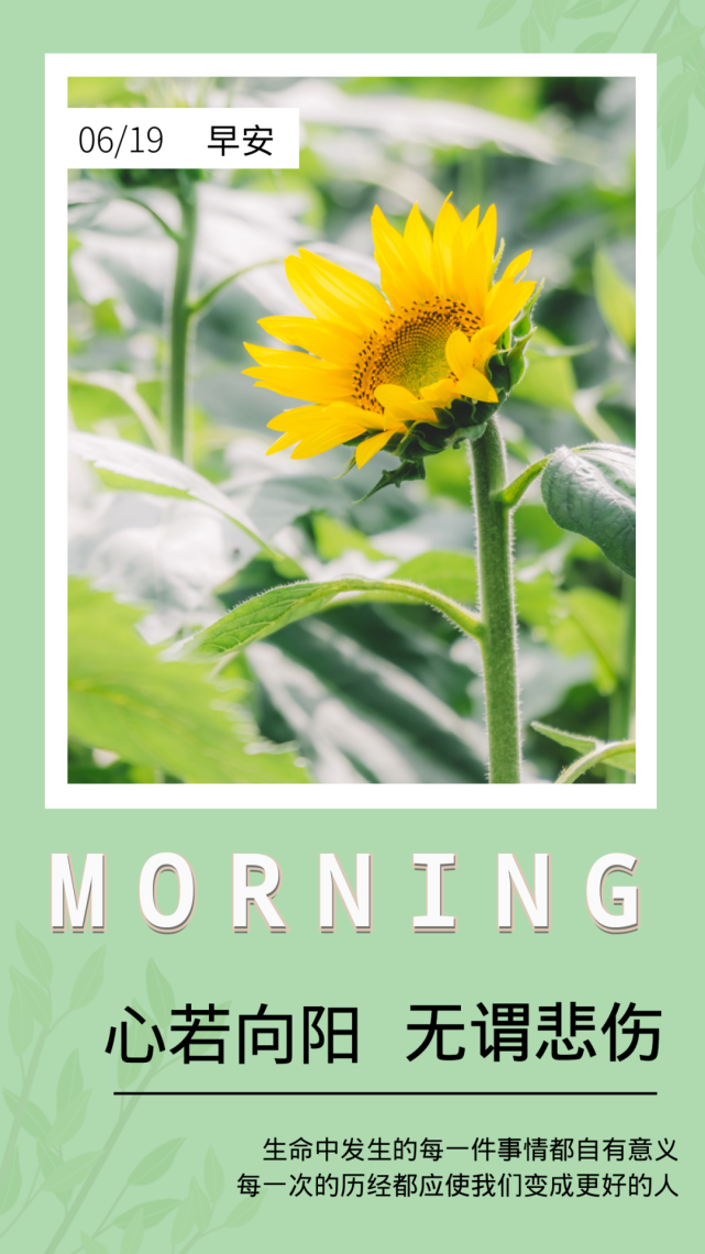 6月19日早安心语正能量早安打卡句子,清晨早上好励志