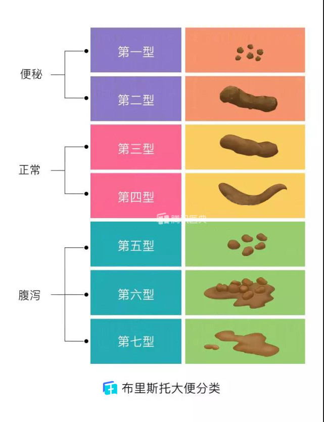 大便的7种形状,只有第三,第四种形状是正常的,预防结直肠癌,平时要