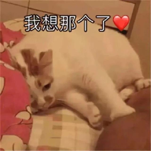 表情包我想要两个抱抱两个亲亲两个举高高