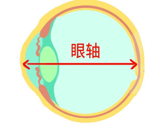 孩子戴ok镜不验光,为什么一直测眼轴?