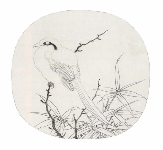 历代名画解析:跟着金纳临摹《竹鸠图》