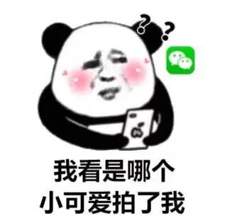 搞笑表情包:熊猫头关于拍一拍的表情包合集