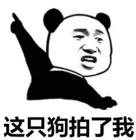 表情包:熊猫头关于拍一拍的表情包