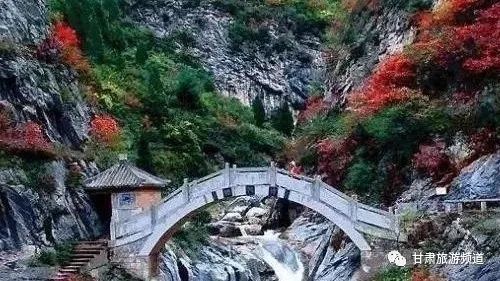 甘肃旅游美食地图 陇南成县江洛棒棒面