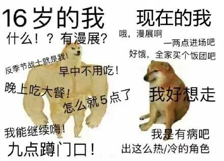 肌肉狗与小废狗