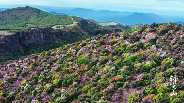 朱提秘境 云上花山:昭通鲁甸轿顶山