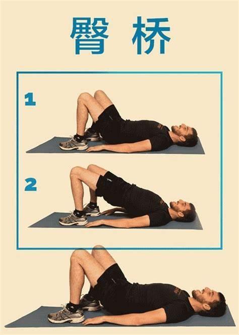 臀桥常用来锻炼臀部和后腿部的伸髋肌群.