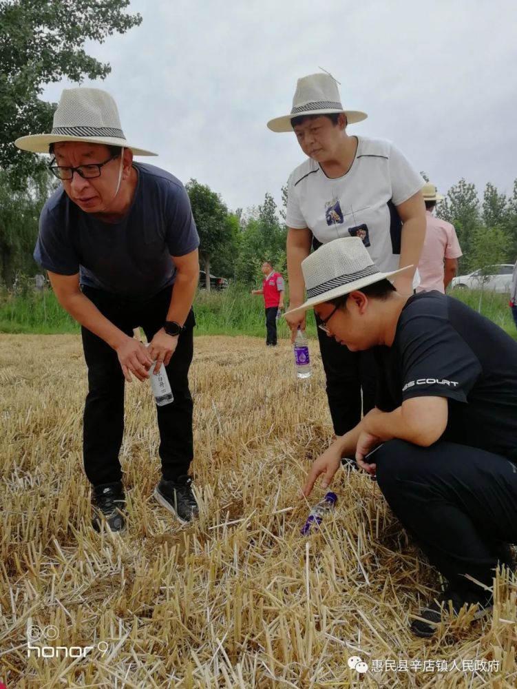 乡村振兴《土地托管让农民轻松种田《农村宅基地18问》