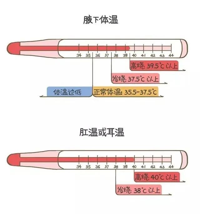 正常体温与发烧的界定范围烧到42℃也不罕见宝宝发烧其实很容易就超过