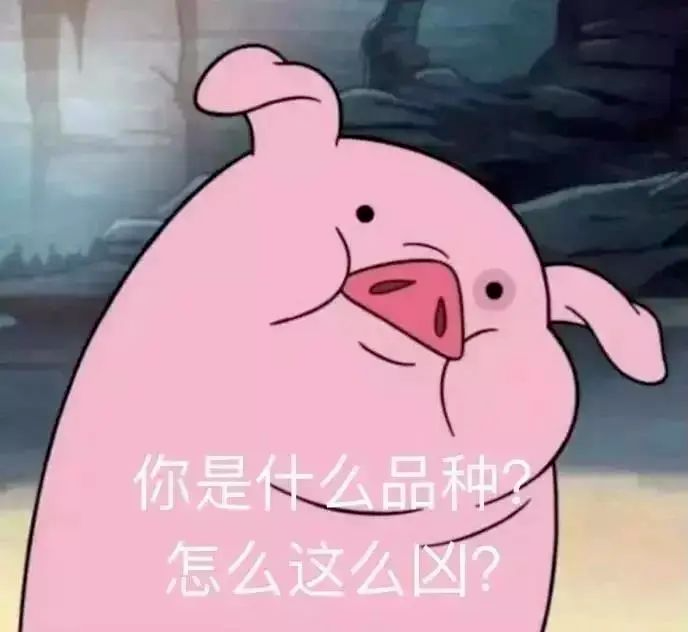 表情包 已下线,勿扰