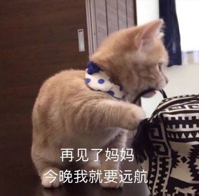 表情包:脸上泛起了婊里婊气的笑容