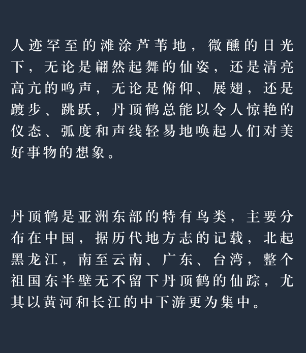 成语绰什么姿_成语故事图片(3)