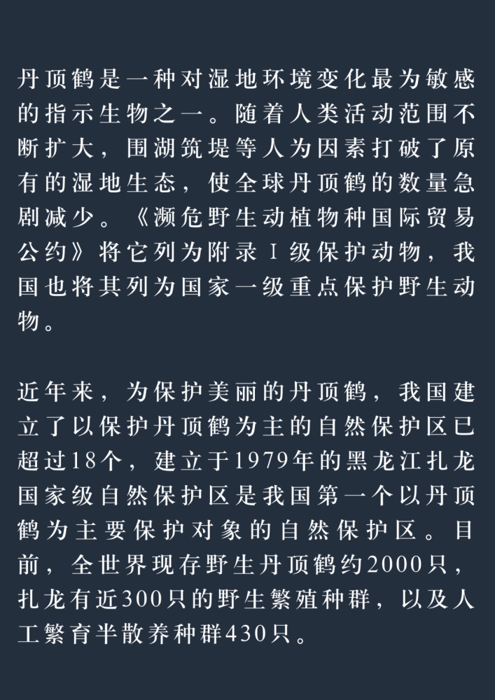 成语绰什么姿_成语故事图片(3)