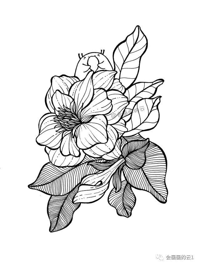 超简单的线描画,清新好看,方法简单,一起来画吧