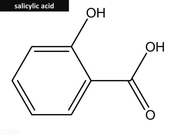 水杨酸分子结构