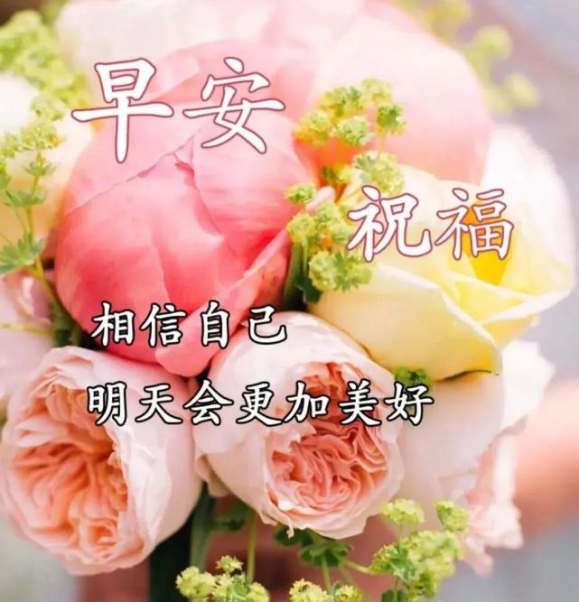 周一清晨祝福语暖心句子送给朋友 清晨问候语最美静态