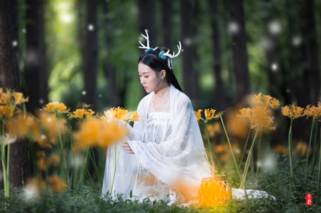 彼岸花,鹿仙,古风美女