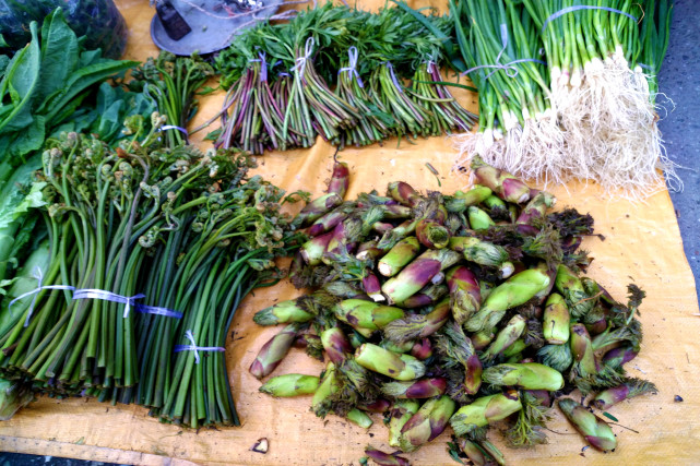 例如,在茂县,我们能看到非常多的各类山珍野菜:蕨菜,鹿耳韭,刺包芽.