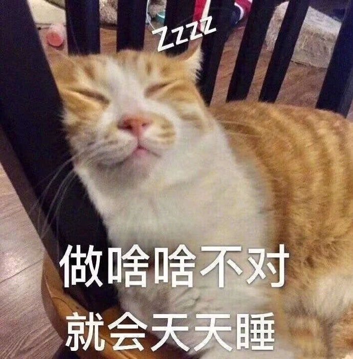 表情包"生活不易 猫猫叹气"