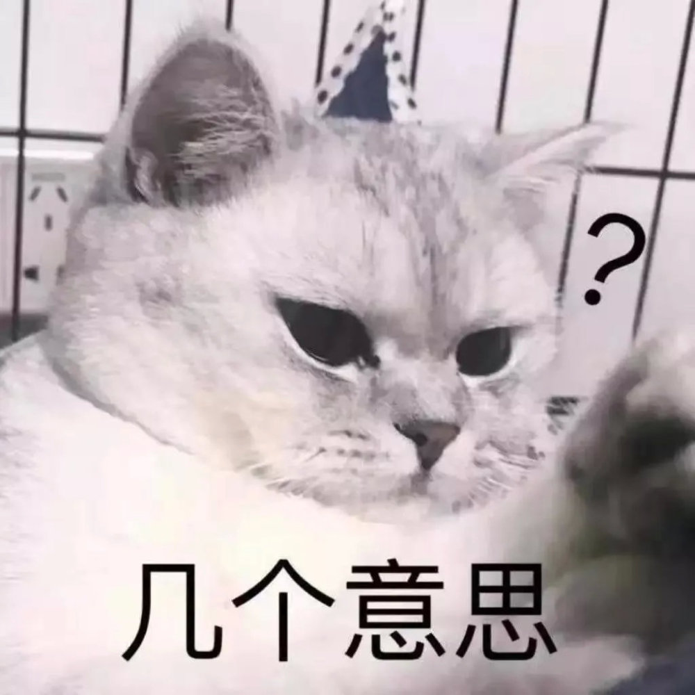 表情包"生活不易 猫猫叹气"