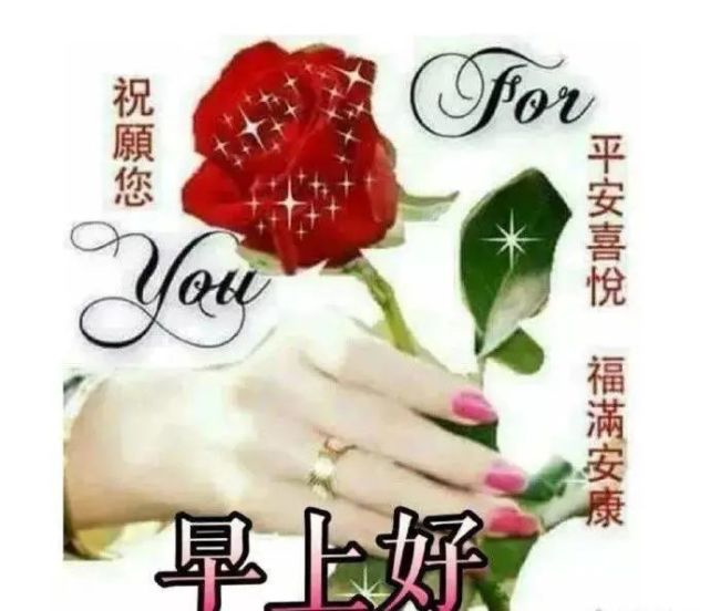 6月20日最新星期六早安心语超棒的励志语录分享,早上
