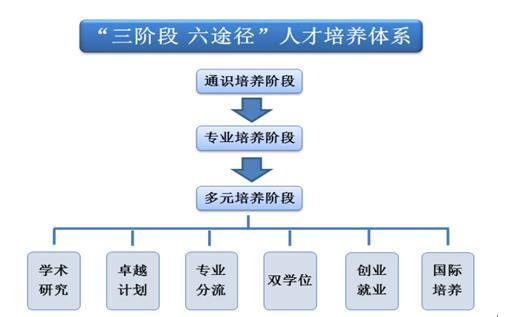 专业建设,课程建设和师资队伍建设为基础,全面启动多元化人才培养模式