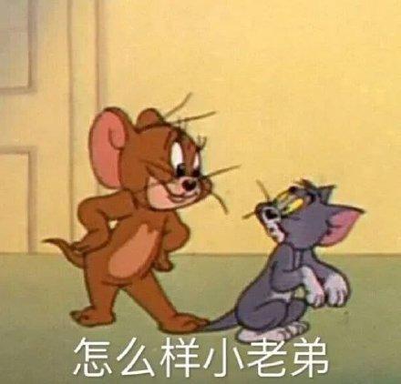 猫和老鼠表情包合集:不服你顺着网线来打我啊!