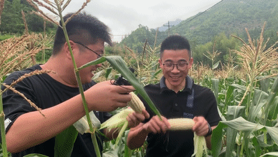 青田有多少人口_17 40mm 4L USM, 最好的摄影师都在这