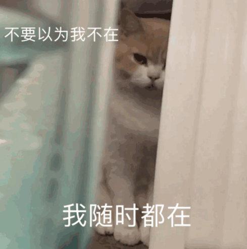 搞笑表情包:我现在只想搞钱