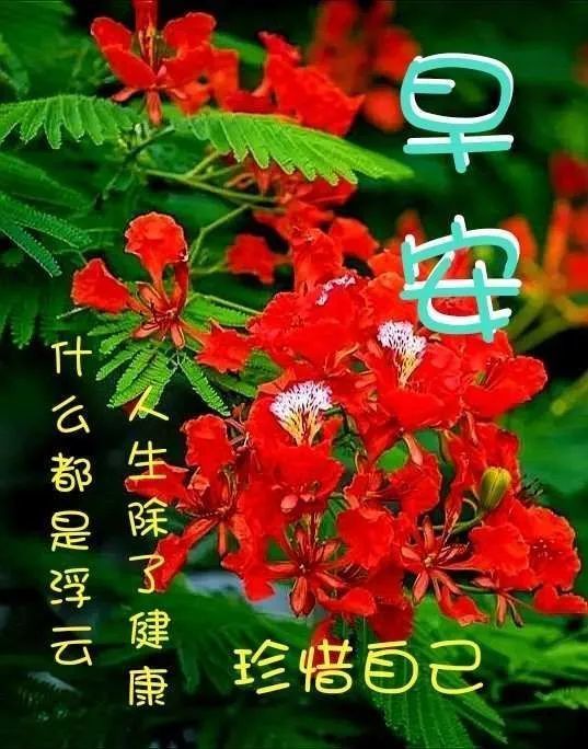 6月21日中老年表情包,问候中品尝快乐,一切顺心愉快!