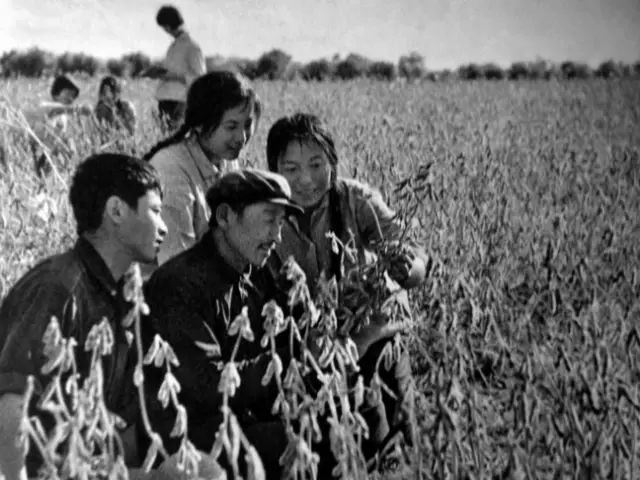 黑龙江生产建设兵团155张老照片还有兴凯湖老照片