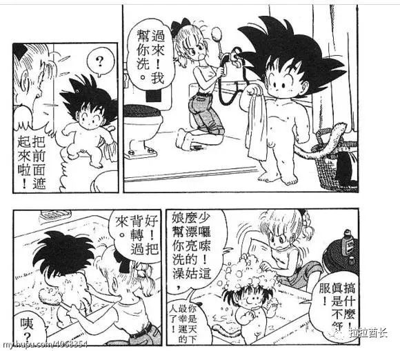 《七龙珠,若孙悟空一直单身,布尔玛会选择和他在一起吗?