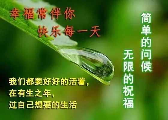 21非常温馨的早安问候祝福语短信,周日朋友圈早上好