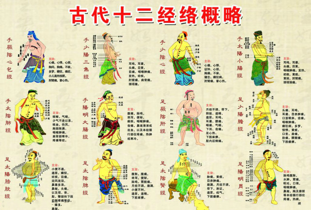 经络说畅通手手六经的重要性