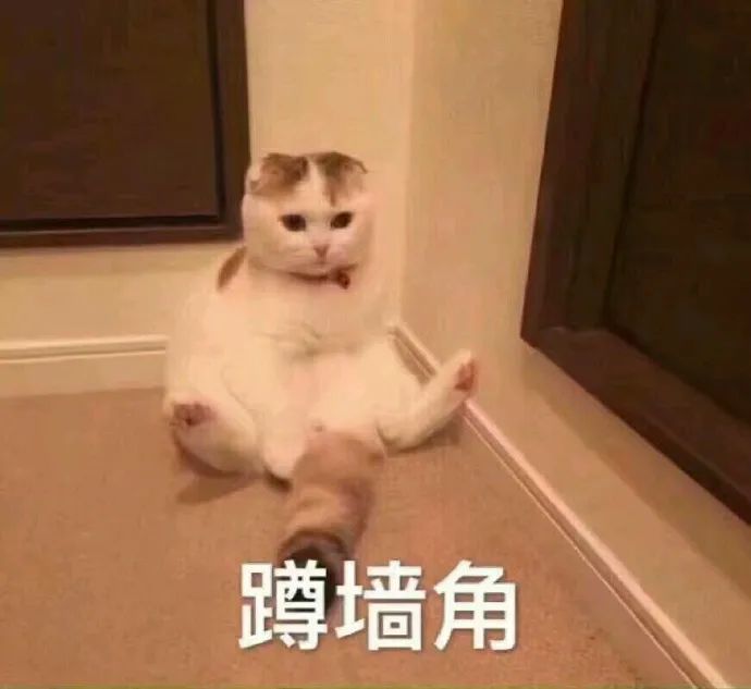 表情包:麻烦理我一下,不然我很尴尬
