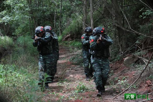 武警特战"魔鬼周,又来了!