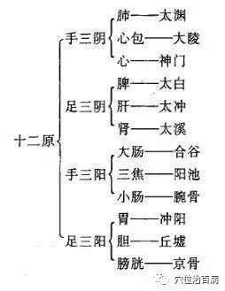 《灵枢·九针十二原》言:"五脏有疾也,应出十二原,而原各有所出,明知