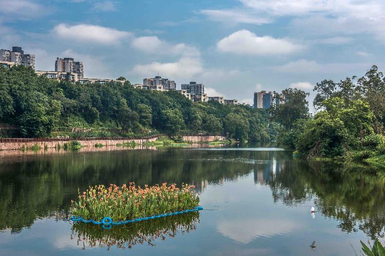 2020年,北碚区又启动了梁滩河流域生态综合治理(一期),竹溪河流域,瓶