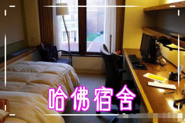 都是名校的宿舍,北大简单,哈佛高级,看到剑桥:凑合住吧