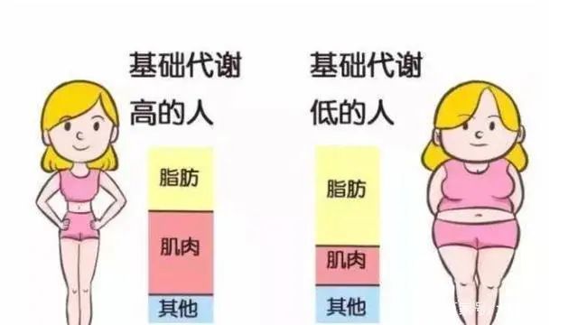 新陈代谢旺盛的人,一般有7个"共性,若你也是,恭喜你