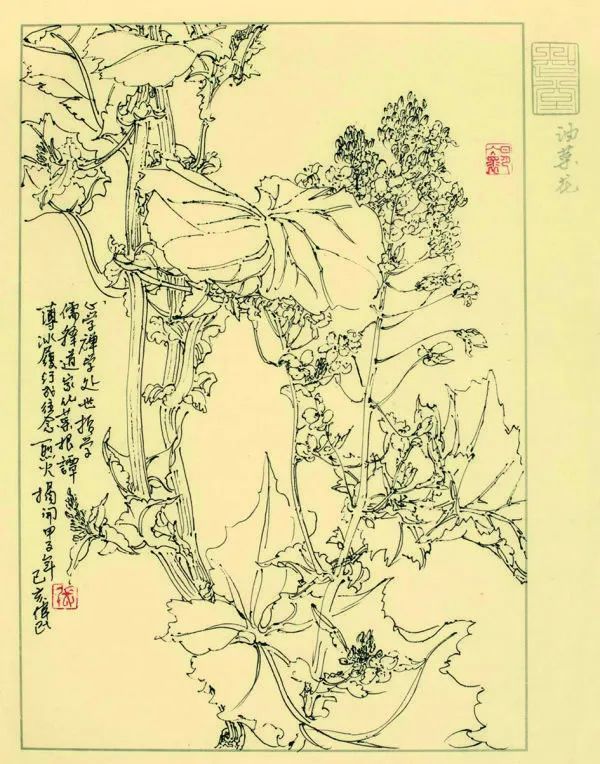 张伟民花鸟画名家工作室结业学员作品欣赏