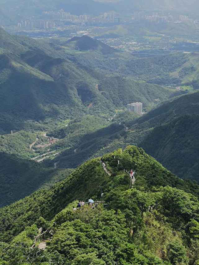 深圳,梧桐山,山海间的绝美风景