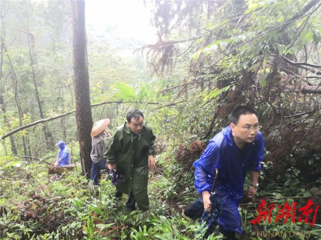 湘西土家族苗族自治州永顺县自然资源局局长谢深洪,总工程师彭海红