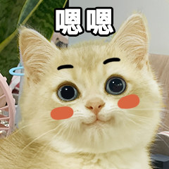 鲁豆妈 魔镜魔镜,鲁豆是不是全世界最萌的猫?