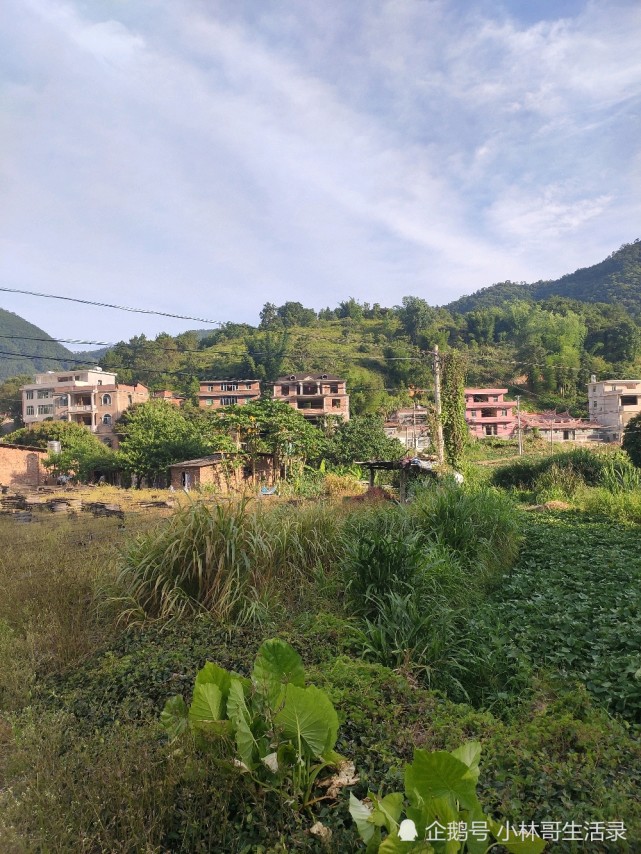 安溪县蓬莱镇龙居村