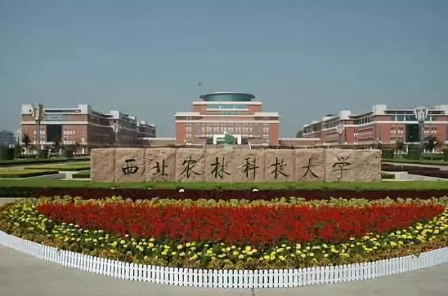 中国海洋大学校门