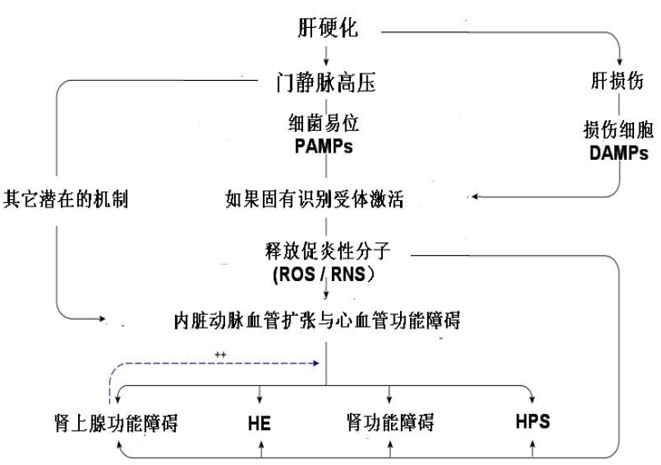 大咖谈丙肝治愈之路(六):hcv失代偿肝硬化患者的临床管理