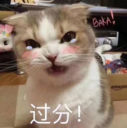 呆萌猫咪 搞笑表情包!